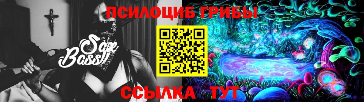 Псилоцибиновые грибы прущие грибы Вольск